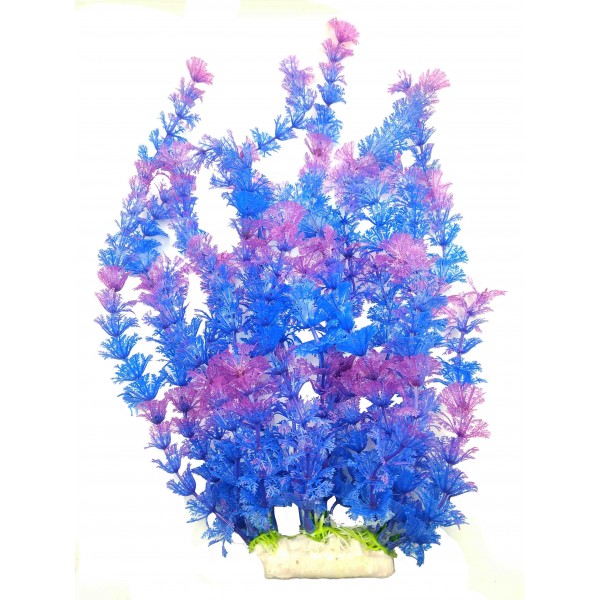 ΔΙΑΚΟΣΜΗΤΙΚΟ ΦΥΤΟ ΕΝΥΔΡΕΙΟΥ